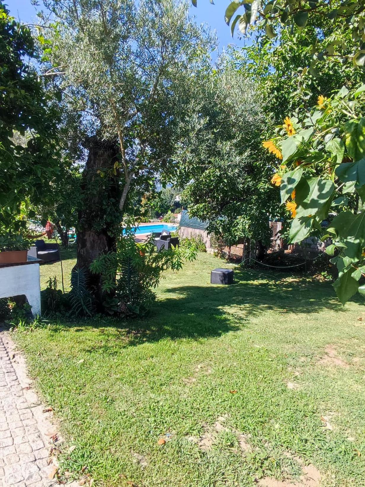 Prozelo Casa Matreiroヴィラ エクステリア 写真
